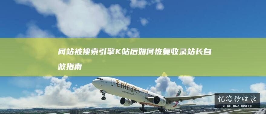网站被搜索引擎K站后如何恢复收录，站长自救指南